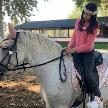 Srem Sremska Mitrovica